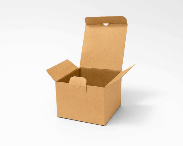 Carton SW 117mm x 82mm x 45mm