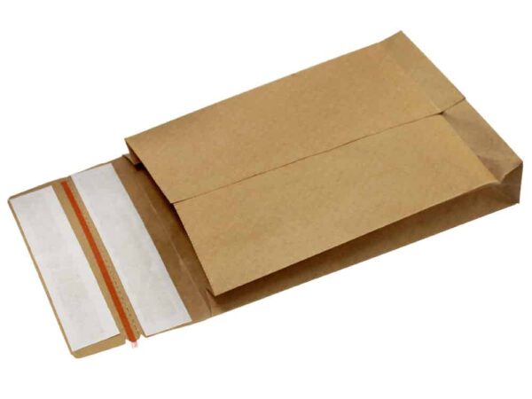 Paper Mailing Bags