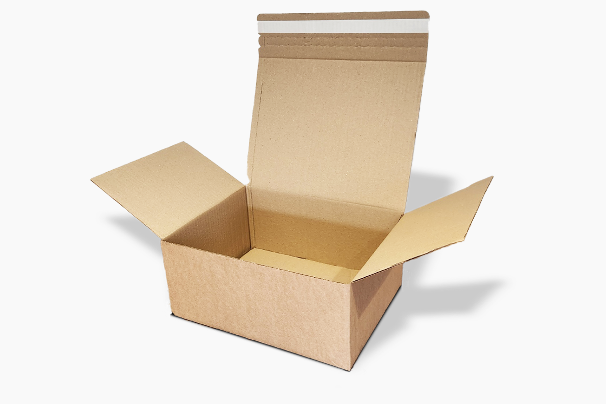 Carton SW 305mm x 229mm x 229mm - Postal Box