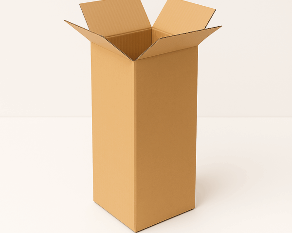 Carton SW 200mm x 200mm x 450mm