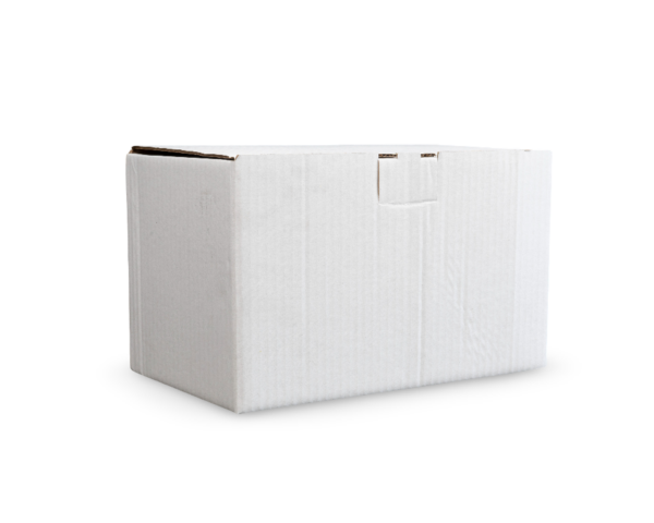 Carton SW 272mm x 162mm x 155mm